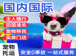 泸州云龙机场快递国际宠物托运 【国